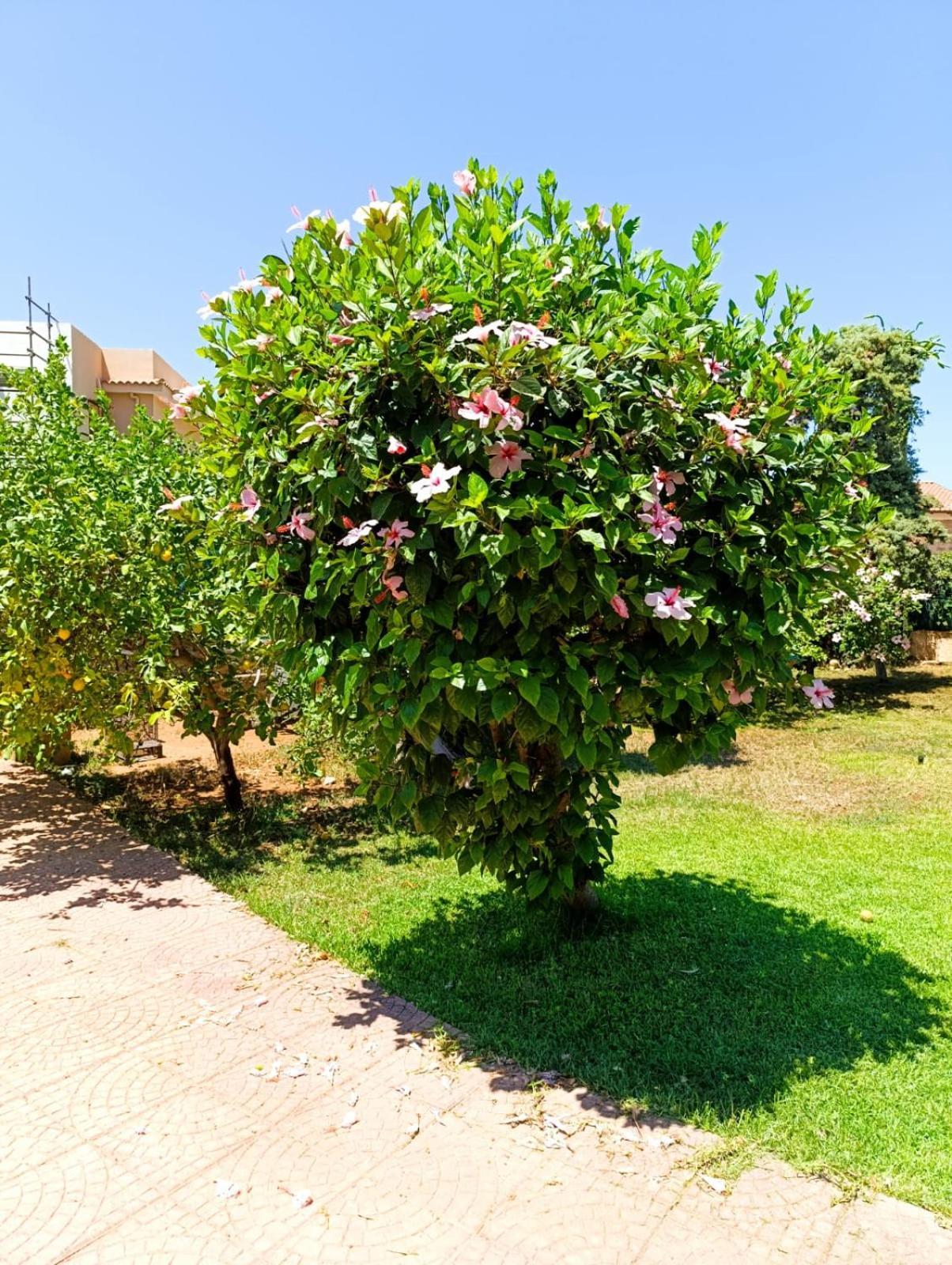 Villa Casa In Giardino A Pochi Passi Dal Mare Palermo Exterior foto
